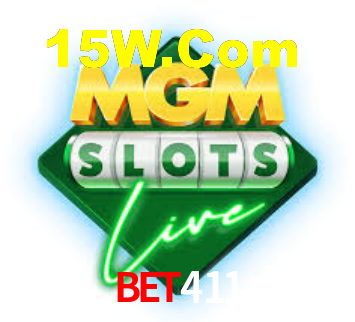 Interface Premium bet411